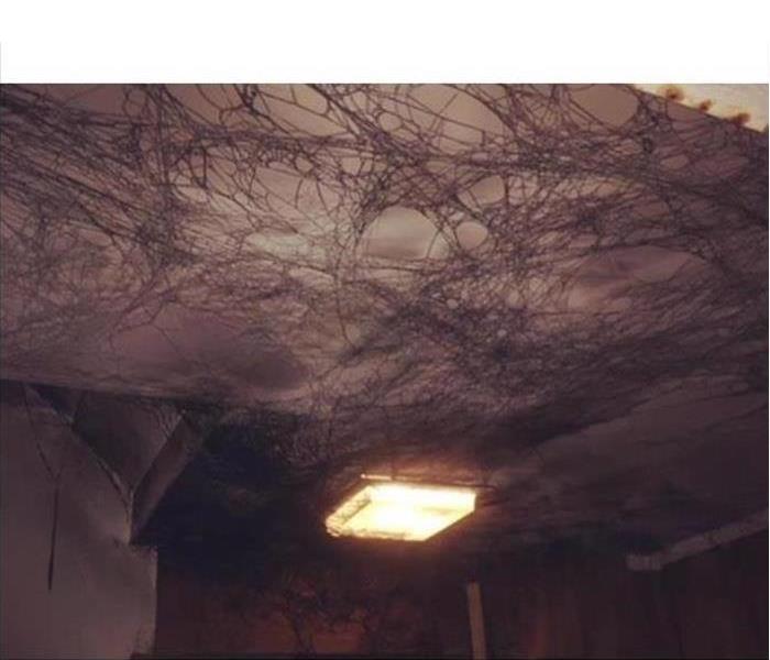 Web on ceiling covered with smoke
