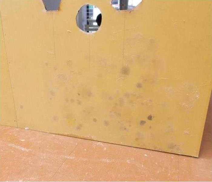 a wall with three holes and mold 